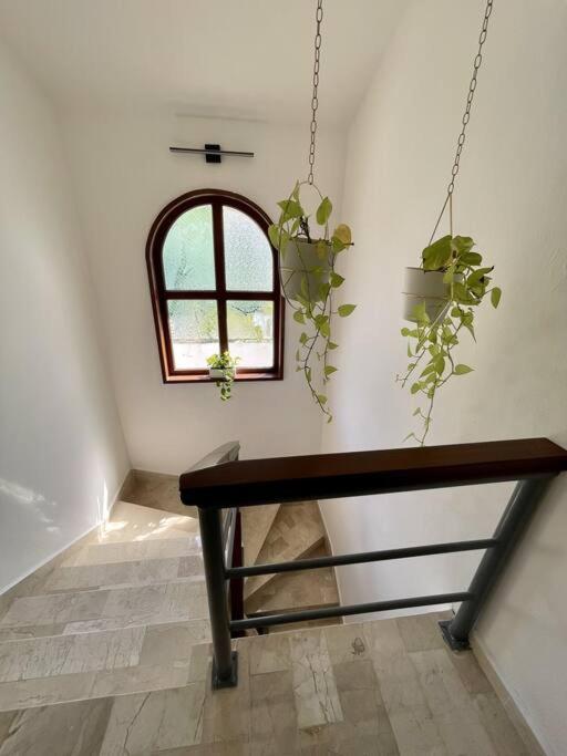Beautiful Jungle House On A Strategic Location Villa Cancún Kültér fotó